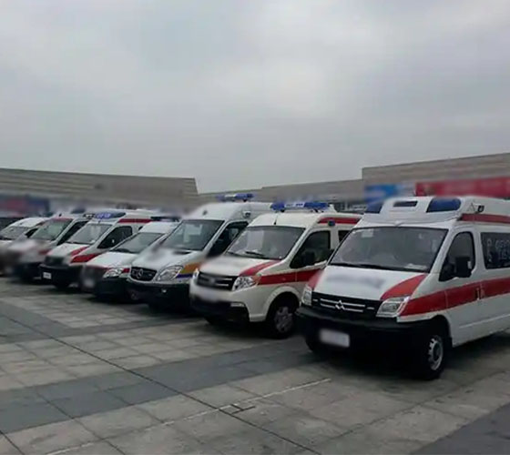 镇康县服务车队展示