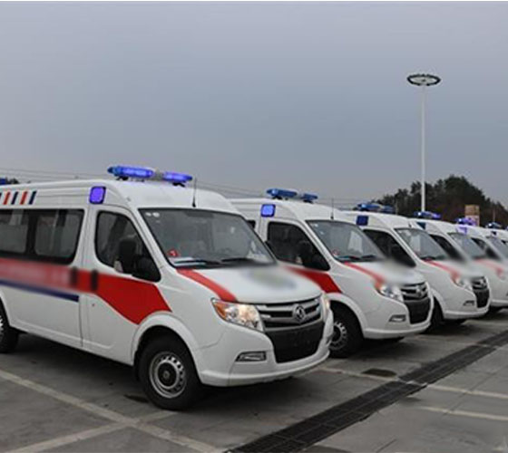 镇康县服务车队展示